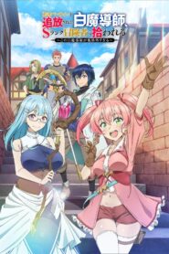 Yuusha Party wo Tsuihou sareta Shiromadoushi, S-Rank Boukensha ni Hirowareru: Kono Shiromadoushi ga Kikakugai Sugiru