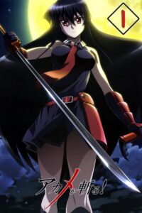Akame ga Kill! Temporada 1