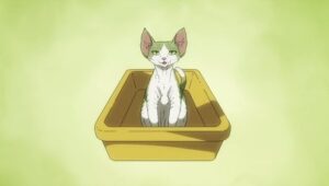 Episódio 07 - D-REX, o gato do planeta brincar