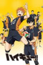 Haikyuu!! Dublado